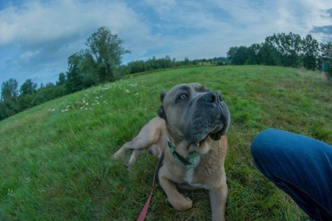 Parys pozdrawia se swojego cudownego domku